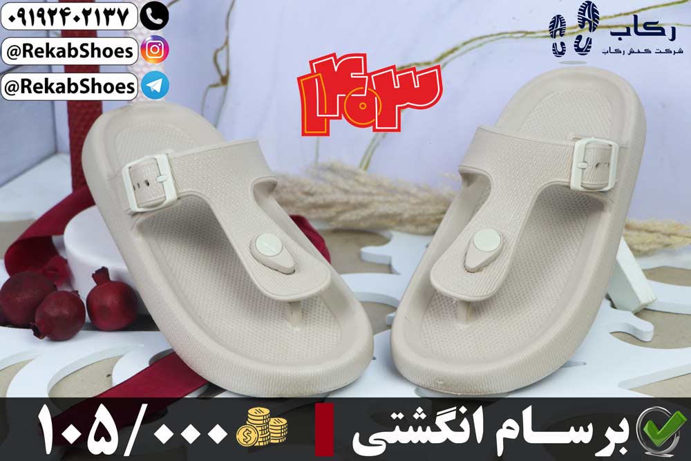 دمپایی لا انگشتی ابری