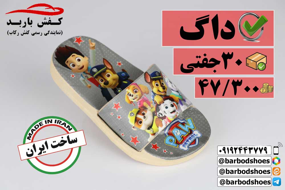 عکس دمپایی پسرانه