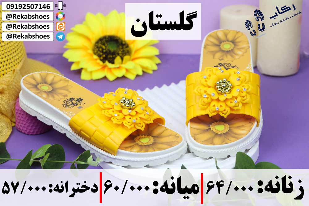 دمپایی بیرونی زنانه جدید